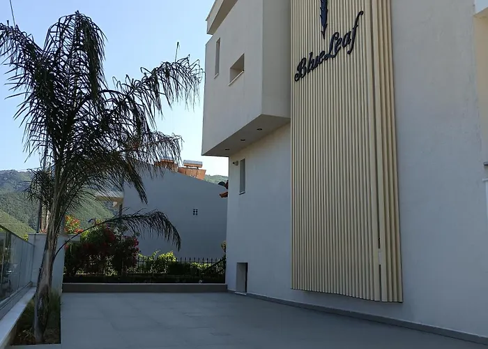 Blueleaf Hotel *
